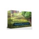 Mythwind: Quinto Jugador