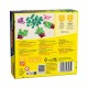 Carni Flora