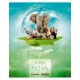 Ark Nova